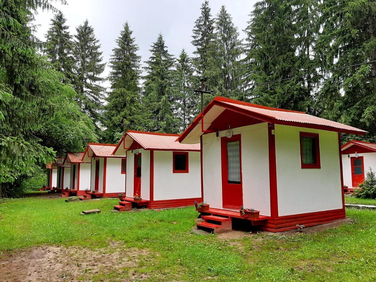 Hotel Casute Valea Zanelor Covasna Exterior foto